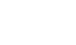 BLADEZPRO